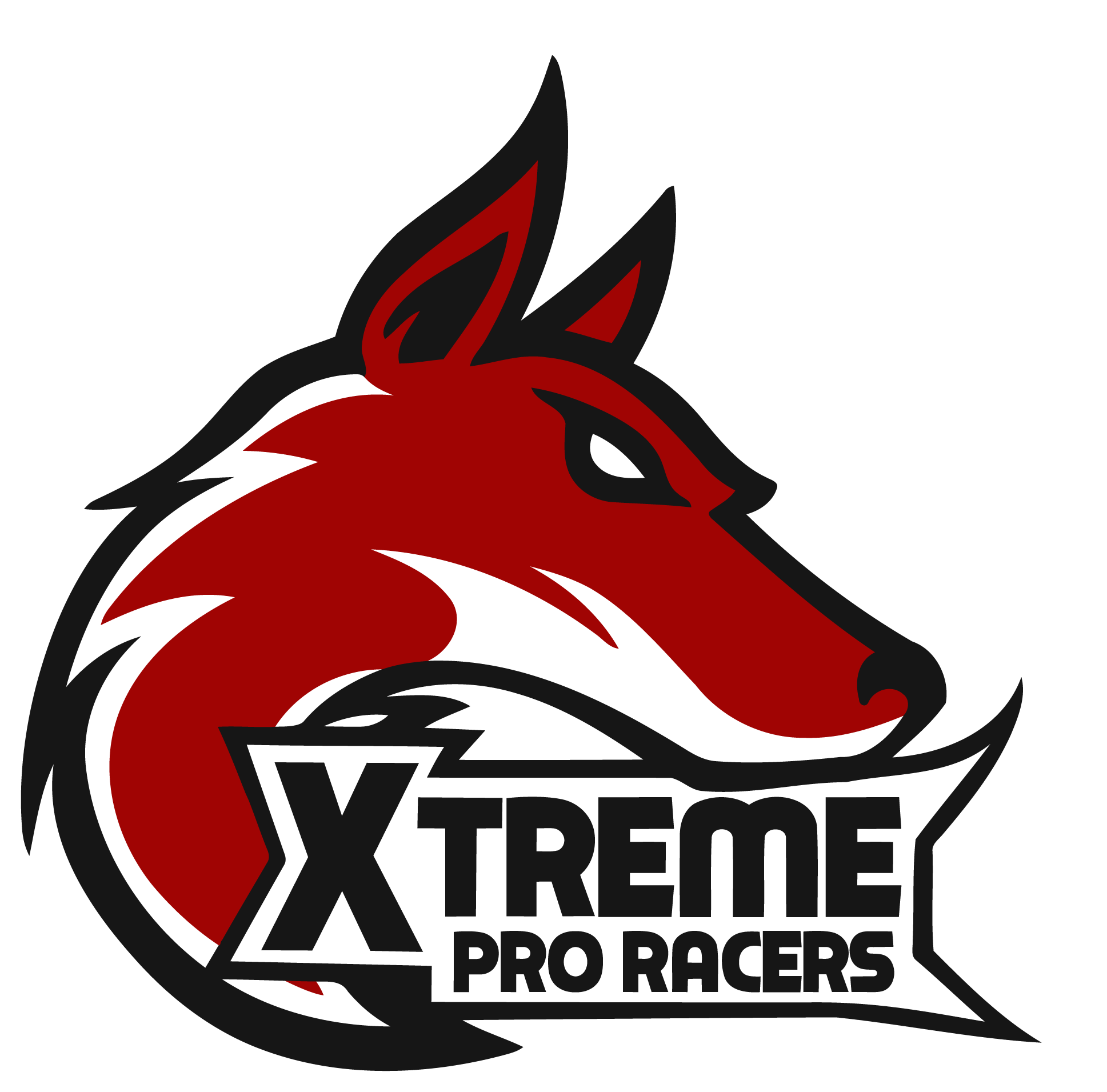 Xtreme pro Racers